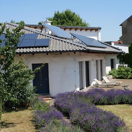 Strohlehm'Zhaus Lejlighed Weiden am See Eksteriør billede